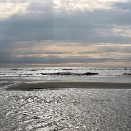 Casa Belle Dune * Zandvoort